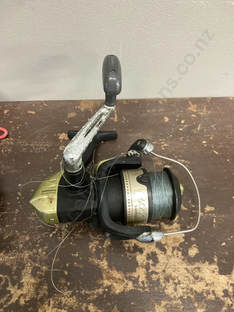 Berkley 14" Fish Lip Grip with Digital Scales & Shimano Hyperloop 6000 FB Spinning Reel With Line Image 1++